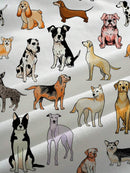 //img.ltwebstatic.com/v4/j/pi/2025/05/28/c8/1748435924073341ed3c98fbc936e676ebc623f8b3_thumbnail_900x.webp