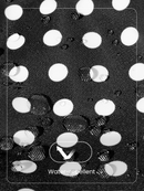 http://img.ltwebstatic.com/v4/g/pi/2025/08/11/ff/17549093899afe1d9df501c41e4b3a79d34d763757.gif
